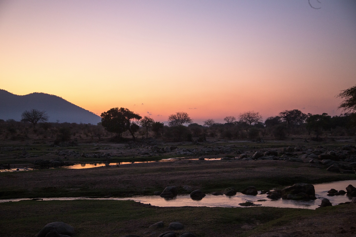Ruaha River Lodge